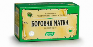 Боровая матка