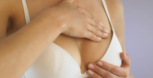 Молочные железы