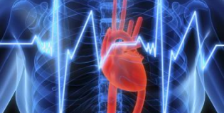 Сердечный ритм