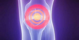 Коленный сустав