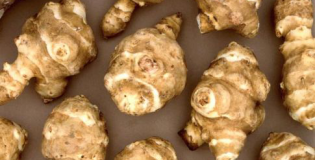 Топинамбур при диабете