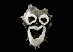 Амеба Амеба