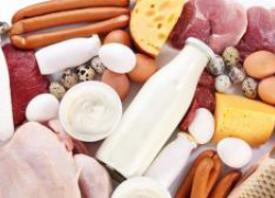 Белковая пища Белковая пища