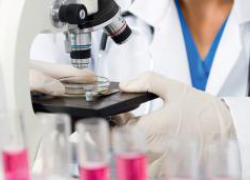 Диагностика туберкулеза