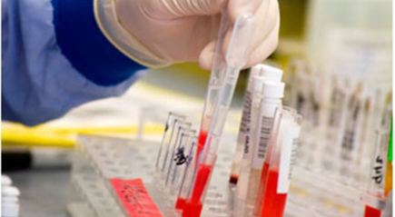 анализы анализы