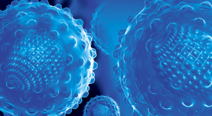 HCV вирус HCV вирус