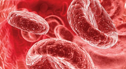 кровь кровь