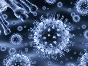 HCV вирус