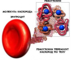 гемоглобин в крови