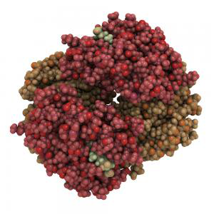 пигмент билирубин пигмент билирубин