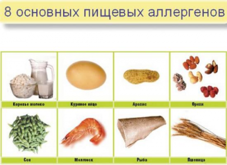 продукты,вызывающие аллергию продукты,вызывающие аллергию