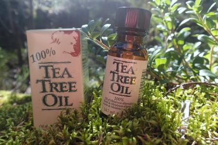 Масло чайного дерева